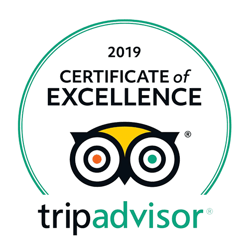 TripAdvisor 2019