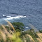 Tropical temperatures with cooling sea breezes