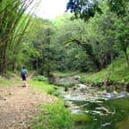 Both marine and jungle experiences